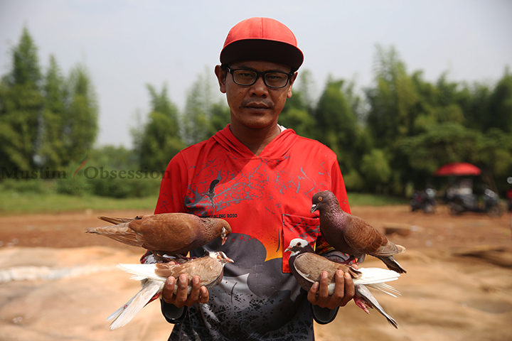 Pemilik menunjukkan burung dara miliknya di lapangan Kawasan Srengseng, Jakarta Barat, Selasa (18/6/2024). (Foto: Edwin B/ Muslim Obsession)