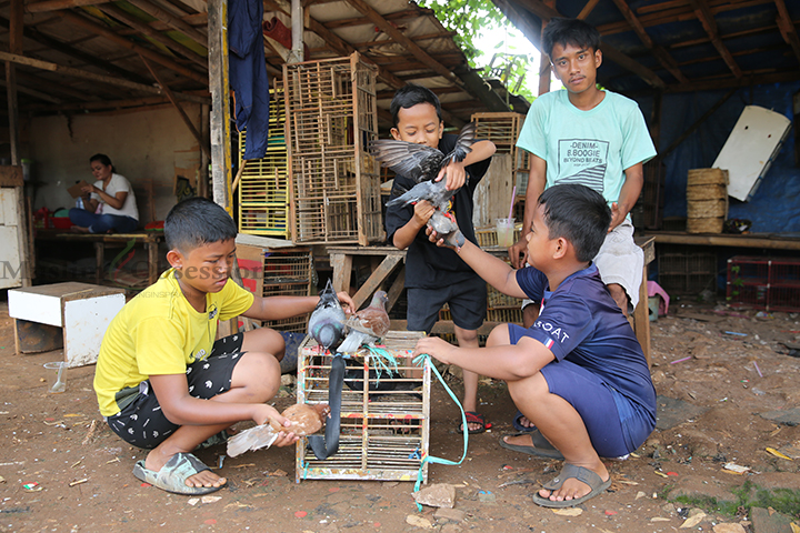 Sejumlah anak juga ikut melatih burung daranya di di lapangan Kawasan Srengseng, Jakarta Barat, Selasa (18/6/2024). (Foto: Edwin B/ Muslim Obsession)