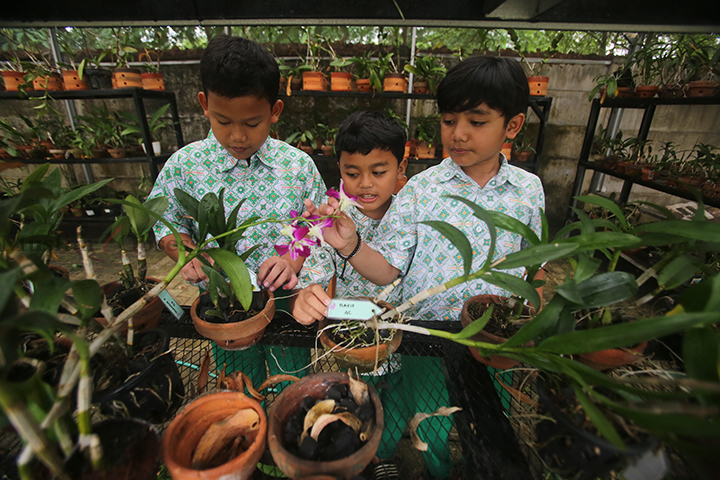 Sejumlah siswa melakukan perawatan tanaman hias di SDI Al-Syukro Universal, Tangerang Selatan, Banten, Selasa (10/9/2024). (Foto: Edwin B/ Muslim Obsession)