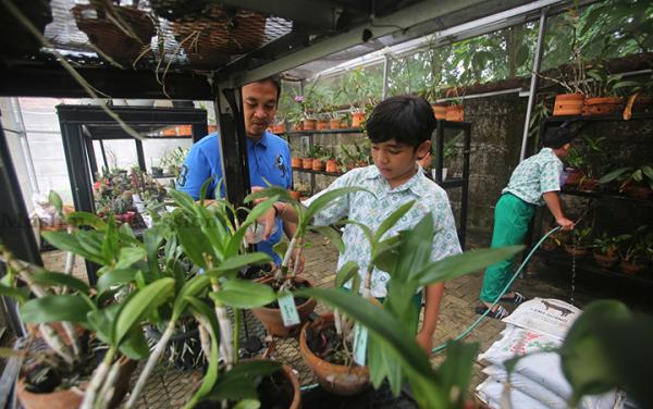 FOTO: Edukasi Kebun Tanaman Hias di Sekolah