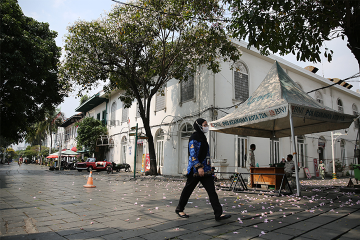 Bunga asal Negara Brasil bermekaran di Kawasan Kota Tua Jakarta, Selasa (1/10/2024). (Foto: Edwin B/ Muslim Obsession)