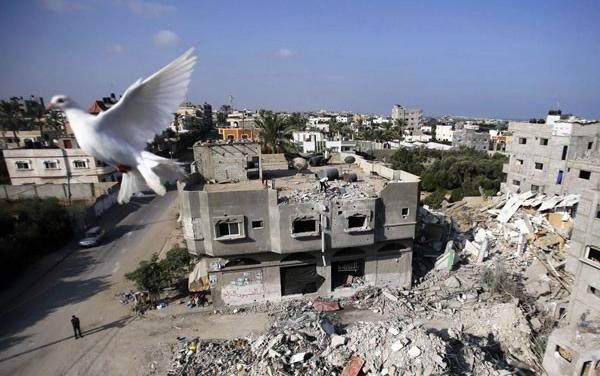 Peta Jalur Gaza Berubah, Separuh Wilayah Kini Dikuasai Israel