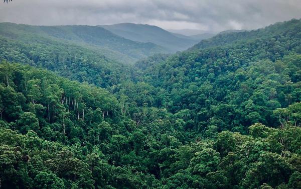 Potensi Green Zakat Capai Rp 327 T per Tahun, Bisa untuk Dana Iklim