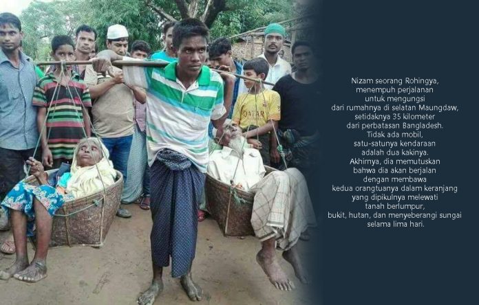 Nizam Rohingya